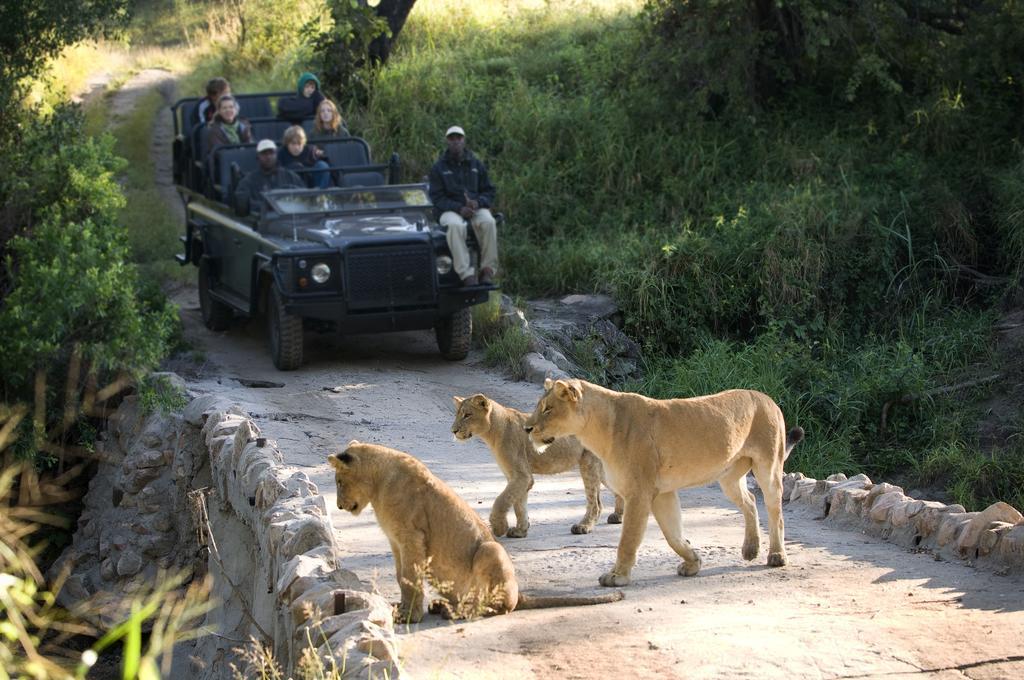 Lion Sands - Tinga Lodge Skukuza Exteriér fotografie